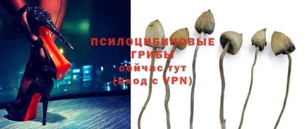 мескалин Надым