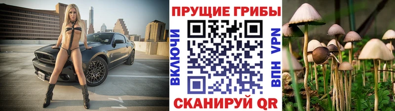 Галлюциногенные грибы MAGIC MUSHROOMS Октябрьский