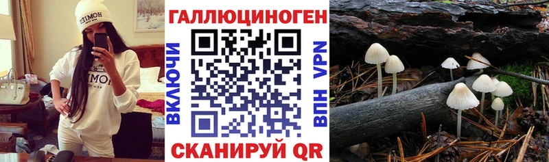даркнет сайт  Октябрьский  Галлюциногенные грибы Magic Shrooms 